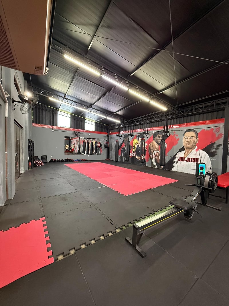 Sala de lutas da Impacto Academia, em Barras-PI, com tatame vermelho e sacos de pancada